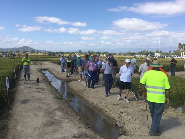 EDYPRO en la Jornada de Campo 2015 del IRTA